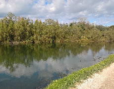 Studi di Incidenza Ambientale