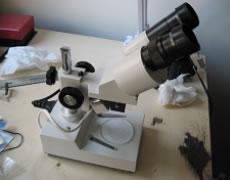 Laboratorio 