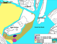 cartografia