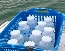 Anlisi dati Ambiente