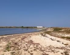 Acque Sardegna