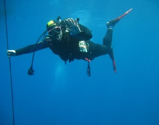 Sub scientifico