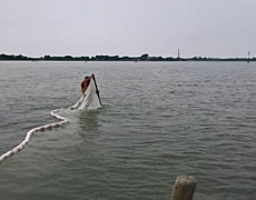 Pesca Scientifica