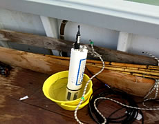 Sonda multiparametrica
